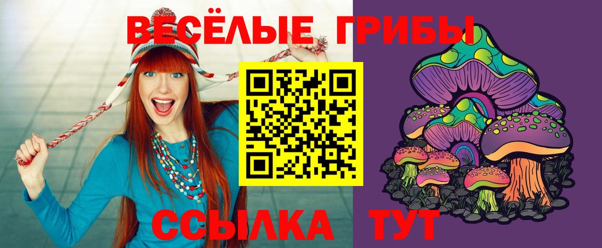 Людиново  Псилоцибиновые грибы MAGIC MUSHROOMS  Вход с VPN 